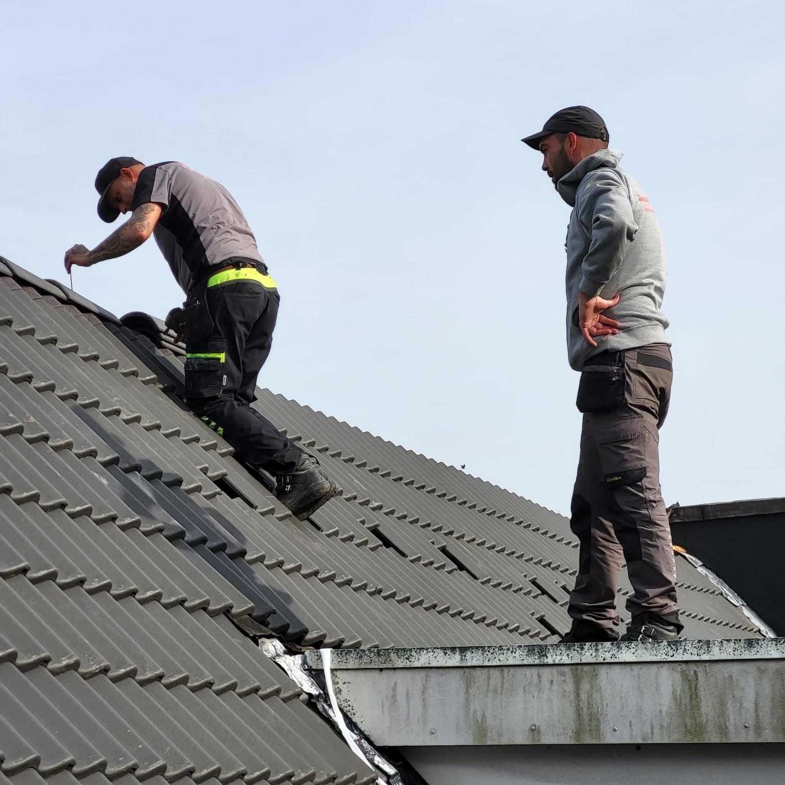 Onze diensten 2 Rovaal Dakbeheer Rotterdam